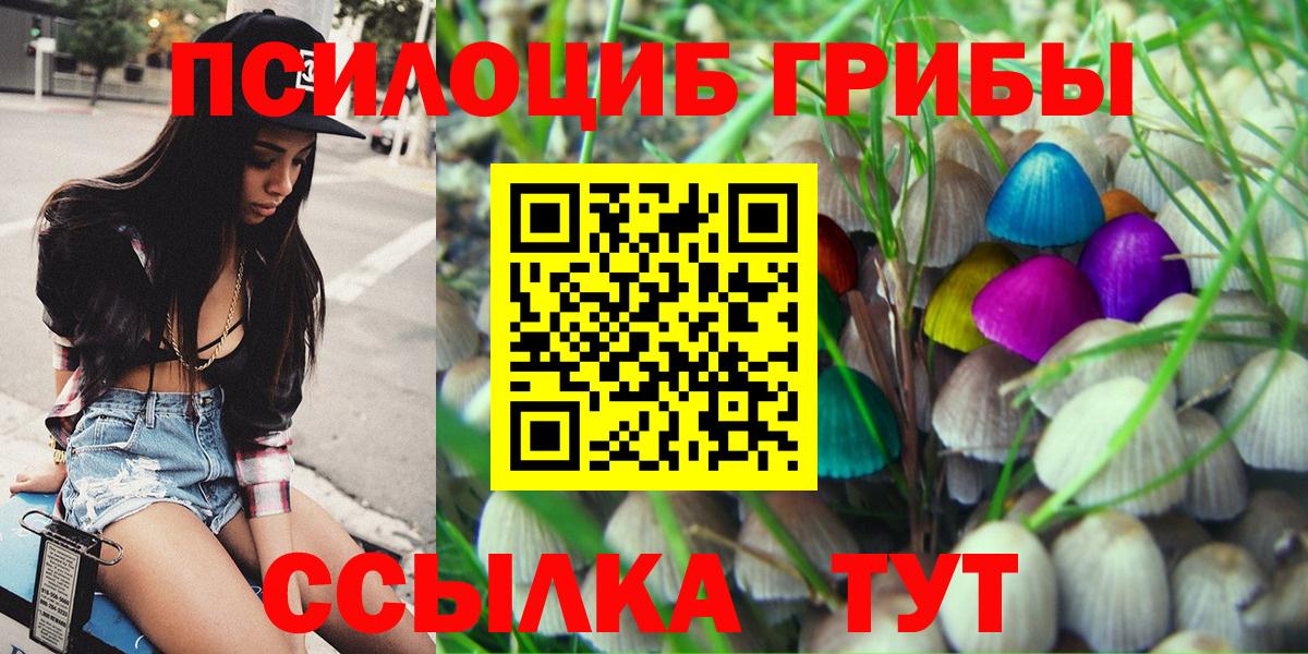 Псилоцибиновые грибы прущие грибы  Вход с VPN  Галлюциногенные грибы GOLDEN TEACHER  Балашиха 
